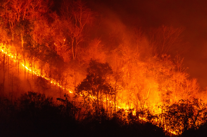 Flames are tilting down the mountain. Looking at the tree in flames. Wildfires in the north destroy property and pollute the air.